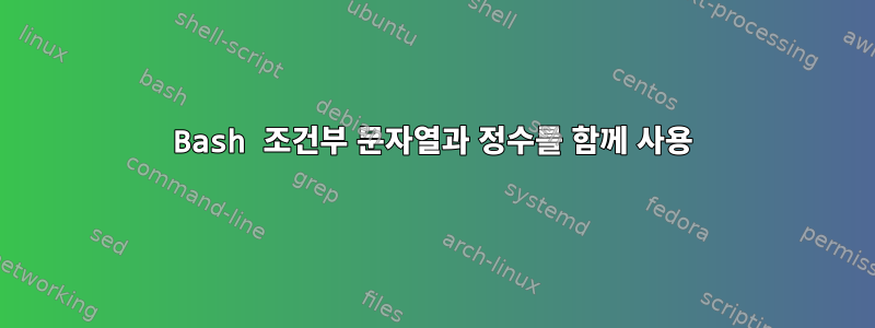 Bash 조건부 문자열과 정수를 함께 사용