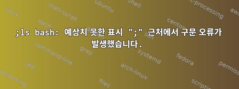 ;ls bash: 예상치 못한 표시 ";" 근처에서 구문 오류가 발생했습니다.