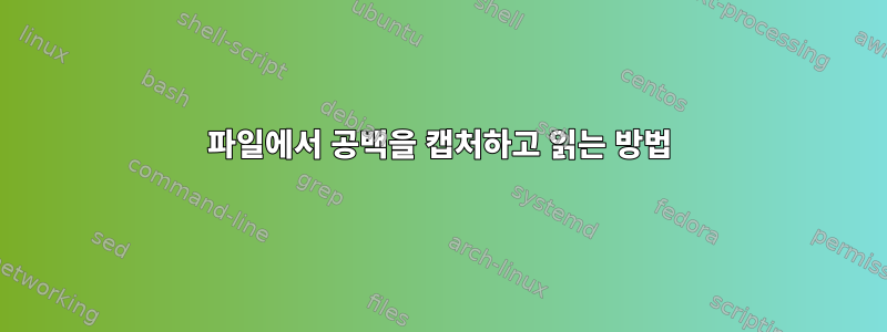 파일에서 공백을 캡처하고 읽는 방법