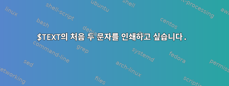 $TEXT의 처음 두 문자를 인쇄하고 싶습니다.