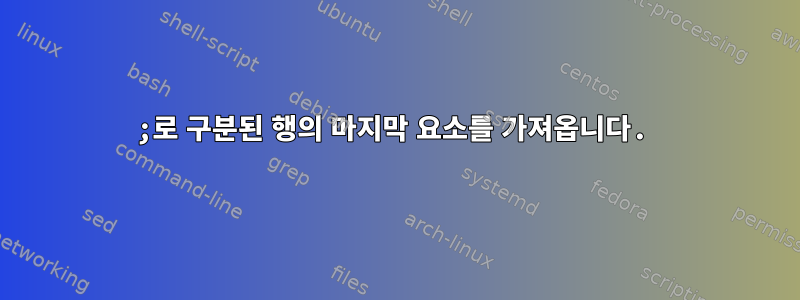 ;로 구분된 행의 마지막 요소를 가져옵니다.