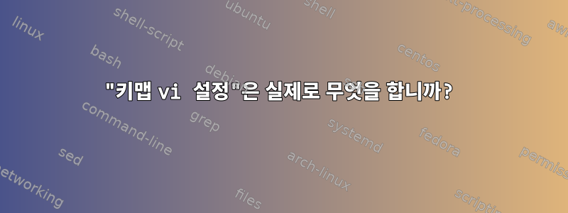 "키맵 vi 설정"은 실제로 무엇을 합니까?