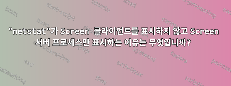 "netstat"가 Screen 클라이언트를 표시하지 않고 Screen 서버 프로세스만 표시하는 이유는 무엇입니까?