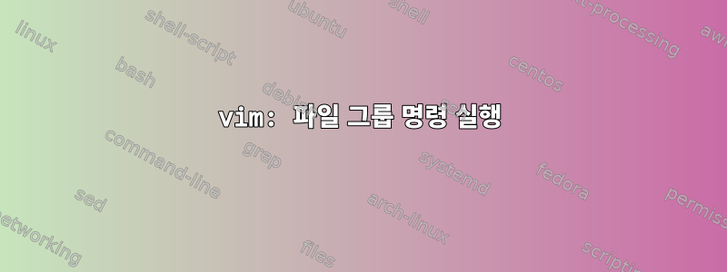 vim: 파일 그룹 명령 실행