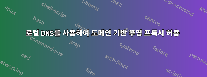 로컬 DNS를 사용하여 도메인 기반 투명 프록시 허용