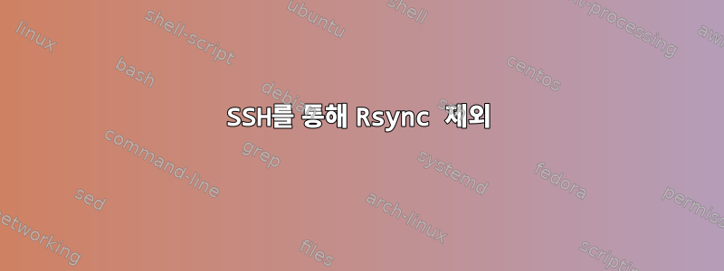 SSH를 통해 Rsync 제외