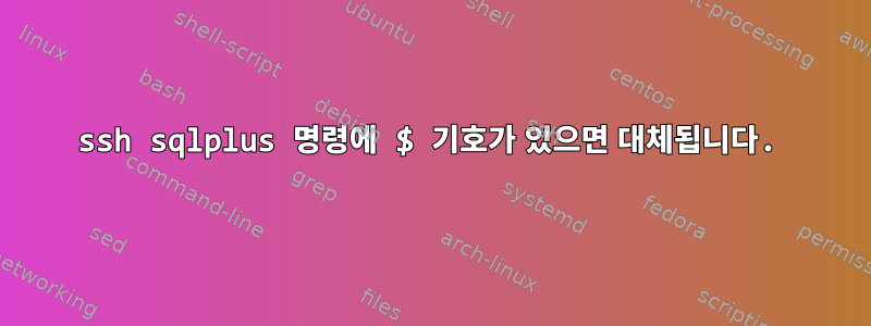 ssh sqlplus 명령에 $ 기호가 있으면 대체됩니다.