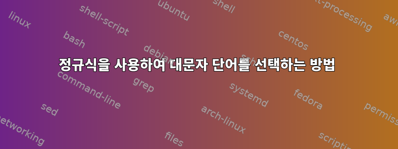 정규식을 사용하여 대문자 단어를 선택하는 방법