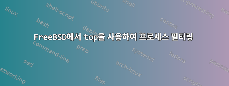 FreeBSD에서 top을 사용하여 프로세스 필터링