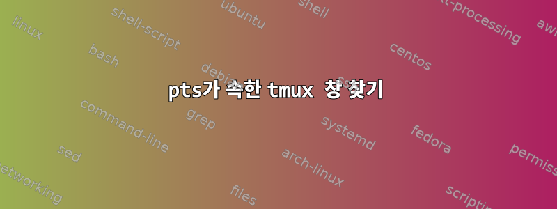 pts가 속한 tmux 창 찾기