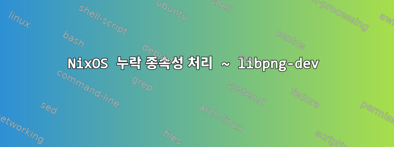 NixOS 누락 종속성 처리 ~ libpng-dev