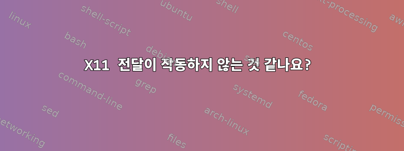 X11 전달이 작동하지 않는 것 같나요?