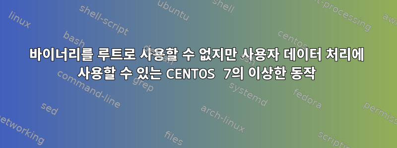 바이너리를 루트로 사용할 수 없지만 사용자 데이터 처리에 사용할 수 있는 CENTOS 7의 이상한 동작