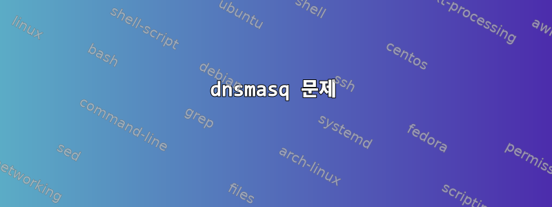 dnsmasq 문제