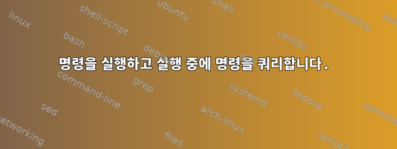 명령을 실행하고 실행 중에 명령을 쿼리합니다.