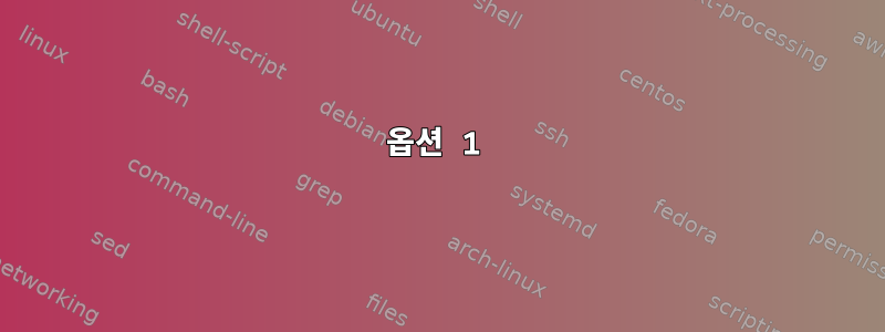 옵션 1