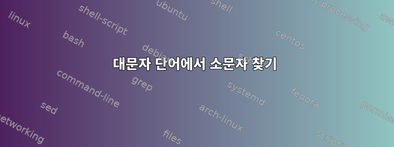 대문자 단어에서 소문자 찾기