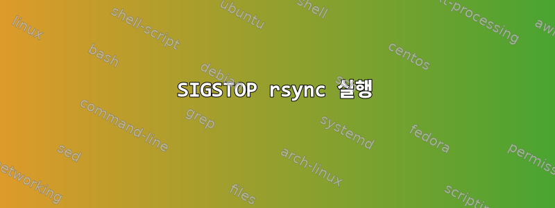 SIGSTOP rsync 실행