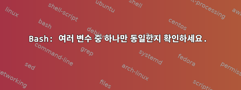 Bash: 여러 변수 중 하나만 동일한지 확인하세요.