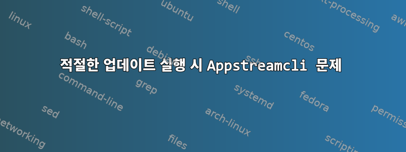 적절한 업데이트 실행 시 Appstreamcli 문제