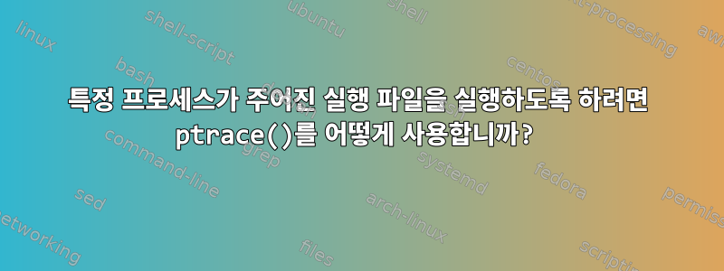 특정 프로세스가 주어진 실행 파일을 실행하도록 하려면 ptrace()를 어떻게 사용합니까?