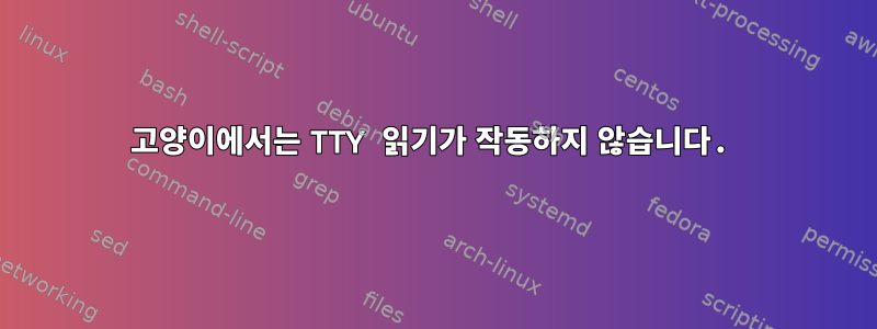 고양이에서는 TTY 읽기가 작동하지 않습니다.