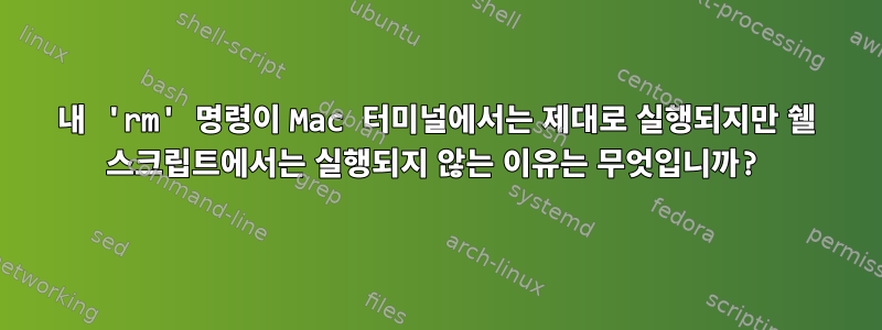 내 'rm' 명령이 Mac 터미널에서는 제대로 실행되지만 쉘 스크립트에서는 실행되지 않는 이유는 무엇입니까?