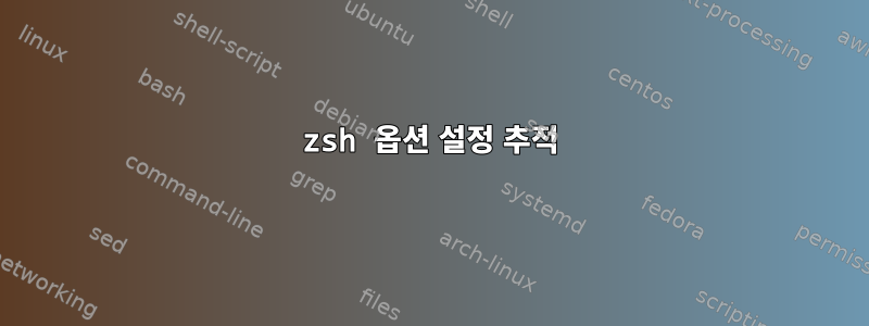 zsh 옵션 설정 추적