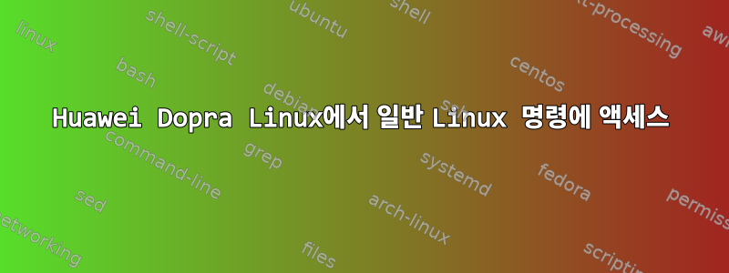 Huawei Dopra Linux에서 일반 Linux 명령에 액세스