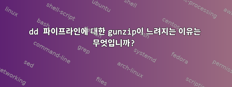 dd 파이프라인에 대한 gunzip이 느려지는 이유는 무엇입니까?