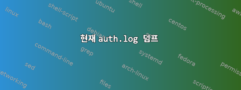 현재 auth.log 덤프