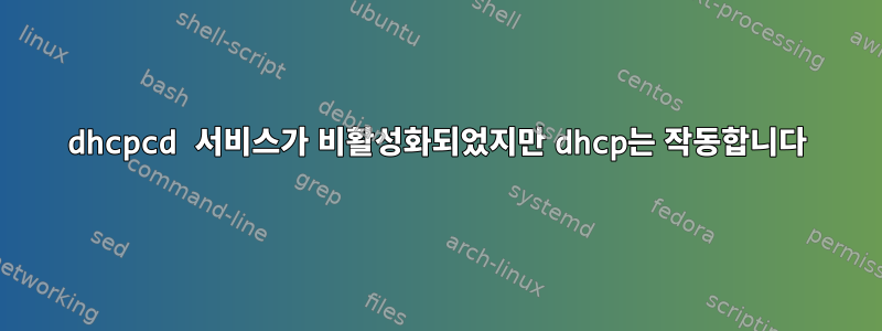 dhcpcd 서비스가 비활성화되었지만 dhcp는 작동합니다