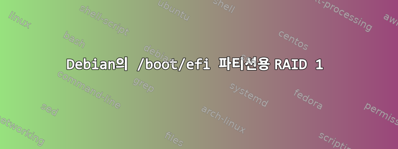 Debian의 /boot/efi 파티션용 RAID 1