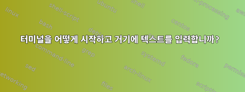 터미널을 어떻게 시작하고 거기에 텍스트를 입력합니까?