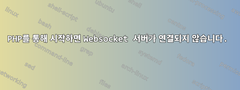 PHP를 통해 시작하면 Websocket 서버가 연결되지 않습니다.