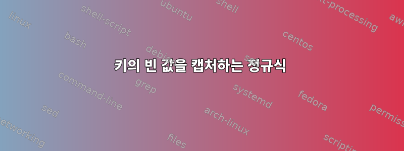 키의 빈 값을 캡처하는 정규식