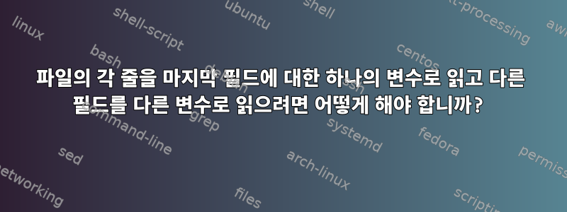 파일의 각 줄을 마지막 필드에 대한 하나의 변수로 읽고 다른 필드를 다른 변수로 읽으려면 어떻게 해야 합니까?