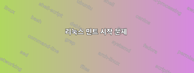 리눅스 민트 시작 문제