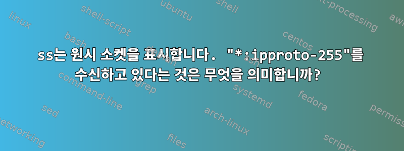 ss는 원시 소켓을 표시합니다. "*:ipproto-255"를 수신하고 있다는 것은 무엇을 의미합니까?