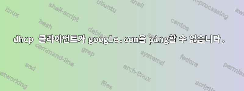 dhcp 클라이언트가 google.com을 ping할 수 없습니다.