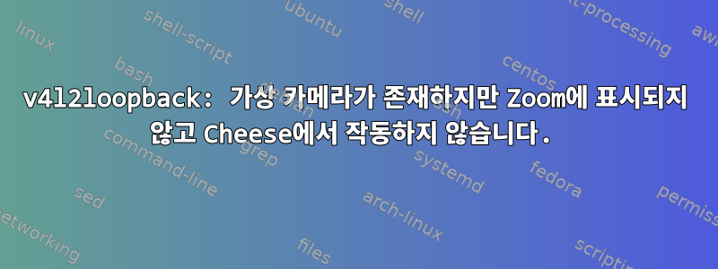 v4l2loopback: 가상 카메라가 존재하지만 Zoom에 표시되지 않고 Cheese에서 작동하지 않습니다.