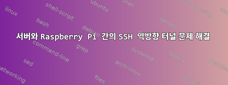 서버와 Raspberry Pi 간의 SSH 역방향 터널 문제 해결