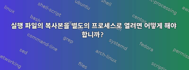 실행 파일의 복사본을 별도의 프로세스로 열려면 어떻게 해야 합니까?