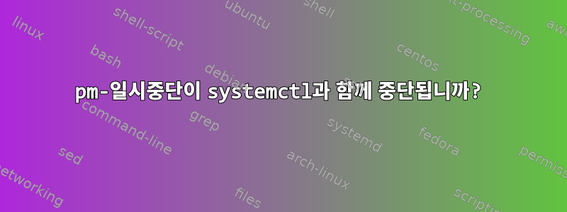 pm-일시중단이 systemctl과 함께 중단됩니까?