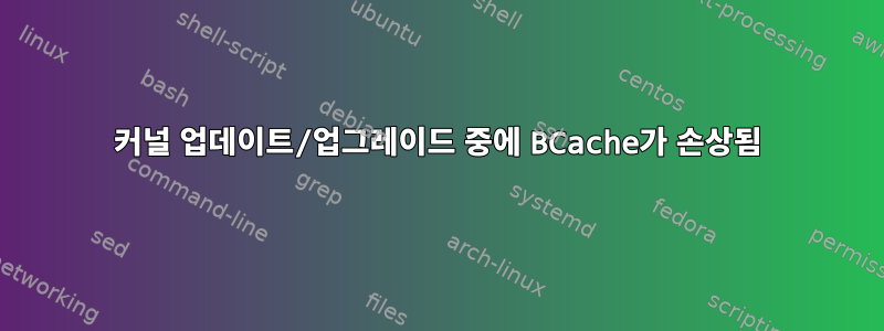 커널 업데이트/업그레이드 중에 BCache가 손상됨