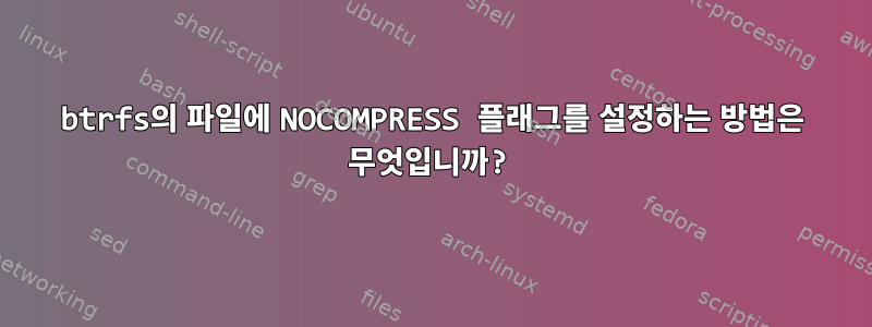 btrfs의 파일에 NOCOMPRESS 플래그를 설정하는 방법은 무엇입니까?