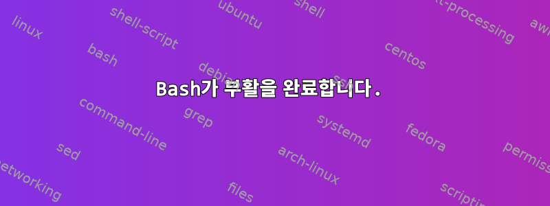 Bash가 부활을 완료합니다.