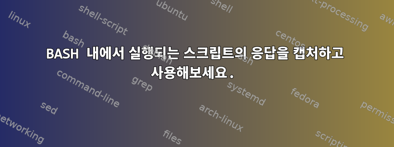 BASH 내에서 실행되는 스크립트의 응답을 캡처하고 사용해보세요.