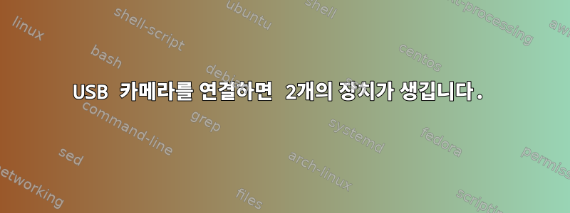 USB 카메라를 연결하면 2개의 장치가 생깁니다.