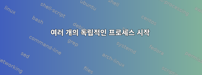 여러 개의 독립적인 프로세스 시작